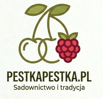 pestkapestka.pl logo